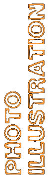 Photo Illustration